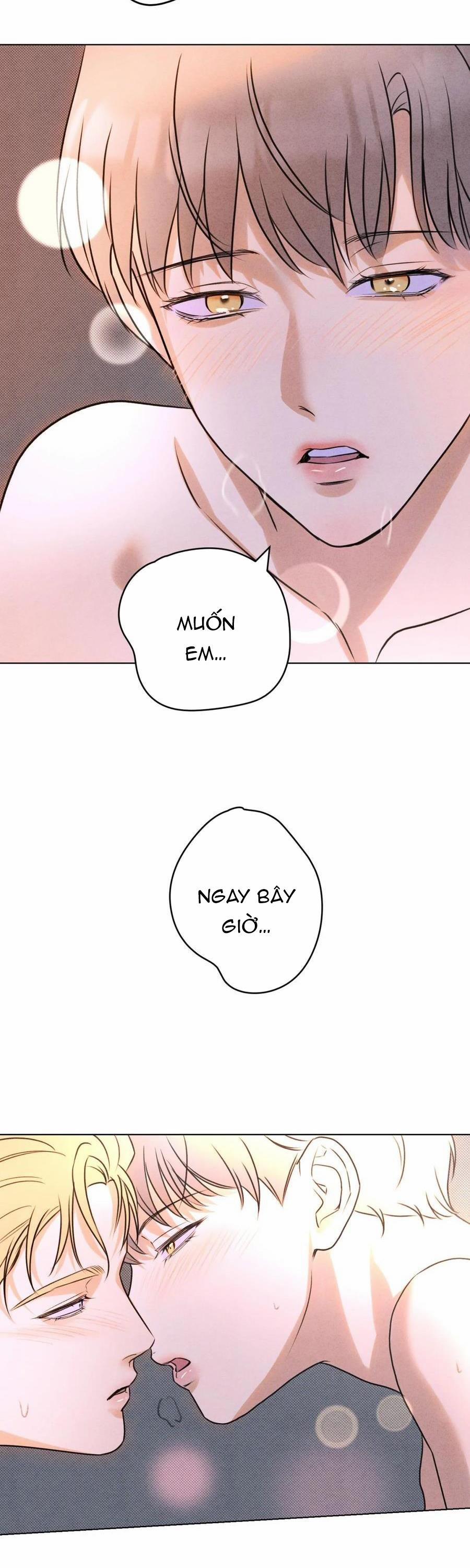 Anh Trai Rẻ Tiền Của Tôi (END) 47 trang 17