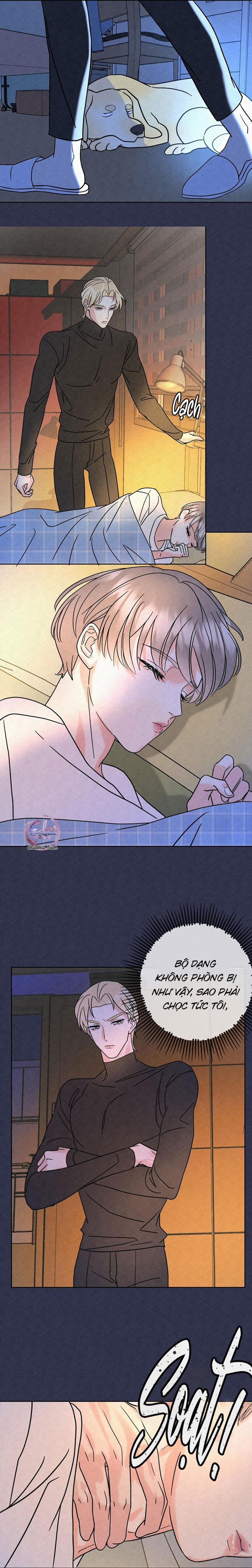 Anh Trai Rẻ Tiền Của Tôi (END) 5 trang 5