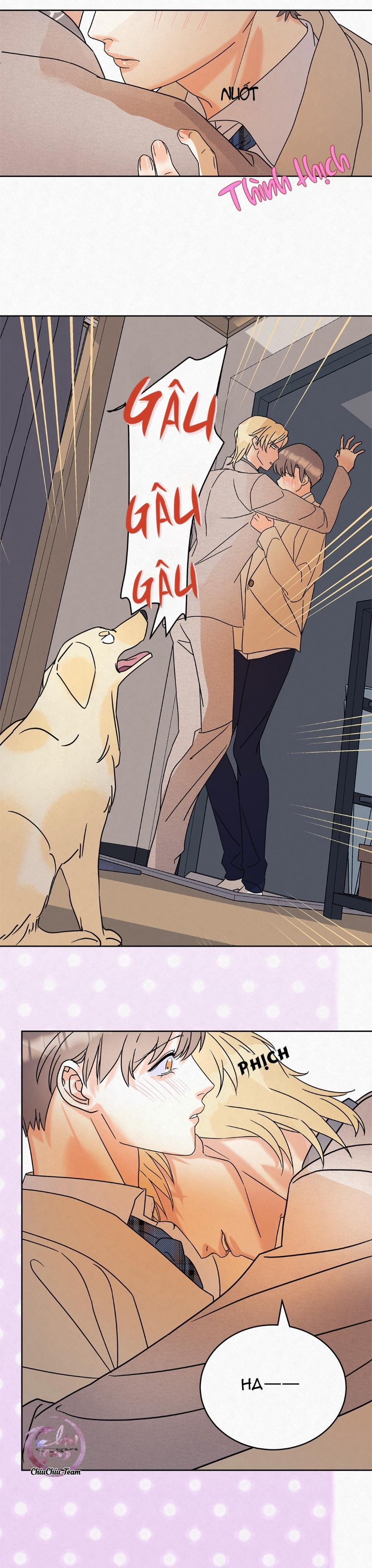 Anh Trai Rẻ Tiền Của Tôi (END) 9 trang 4