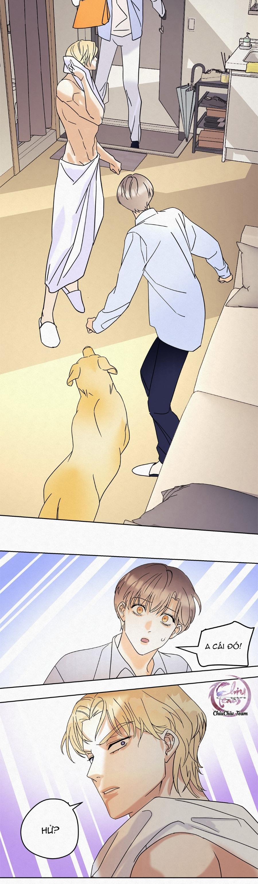 Anh Trai Rẻ Tiền Của Tôi (END) 9 trang 8