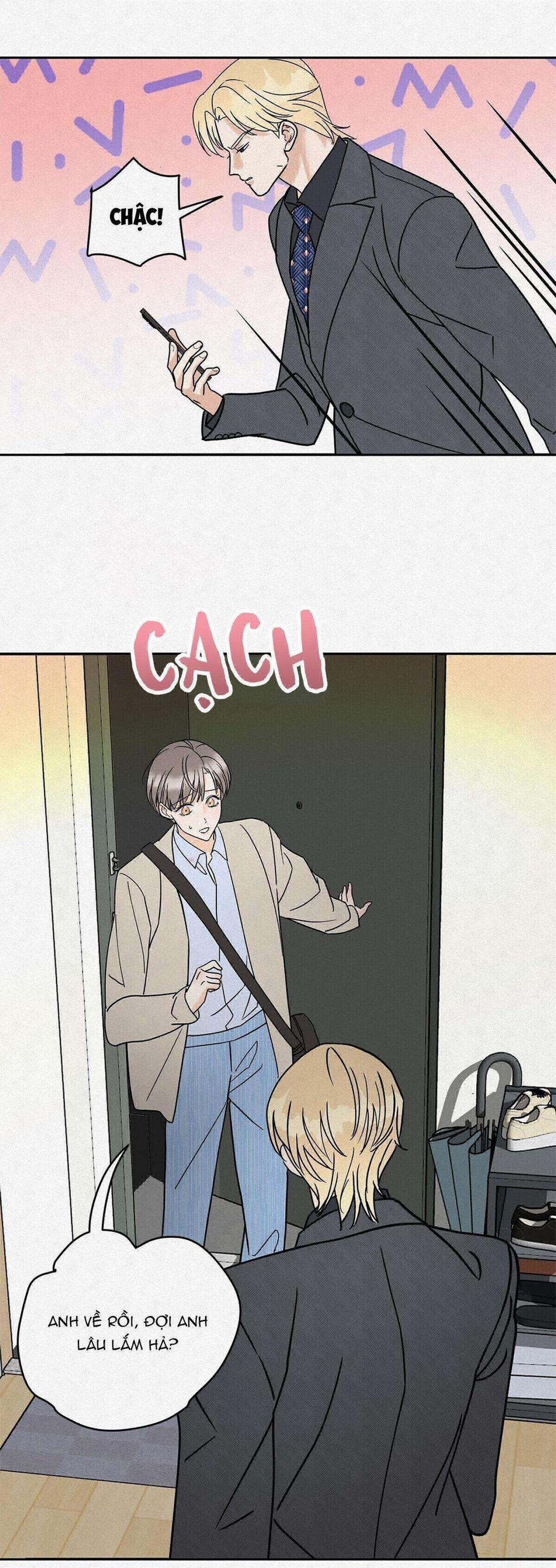 Anh Trai Rẻ Tiền Của Tôi 11 trang 2