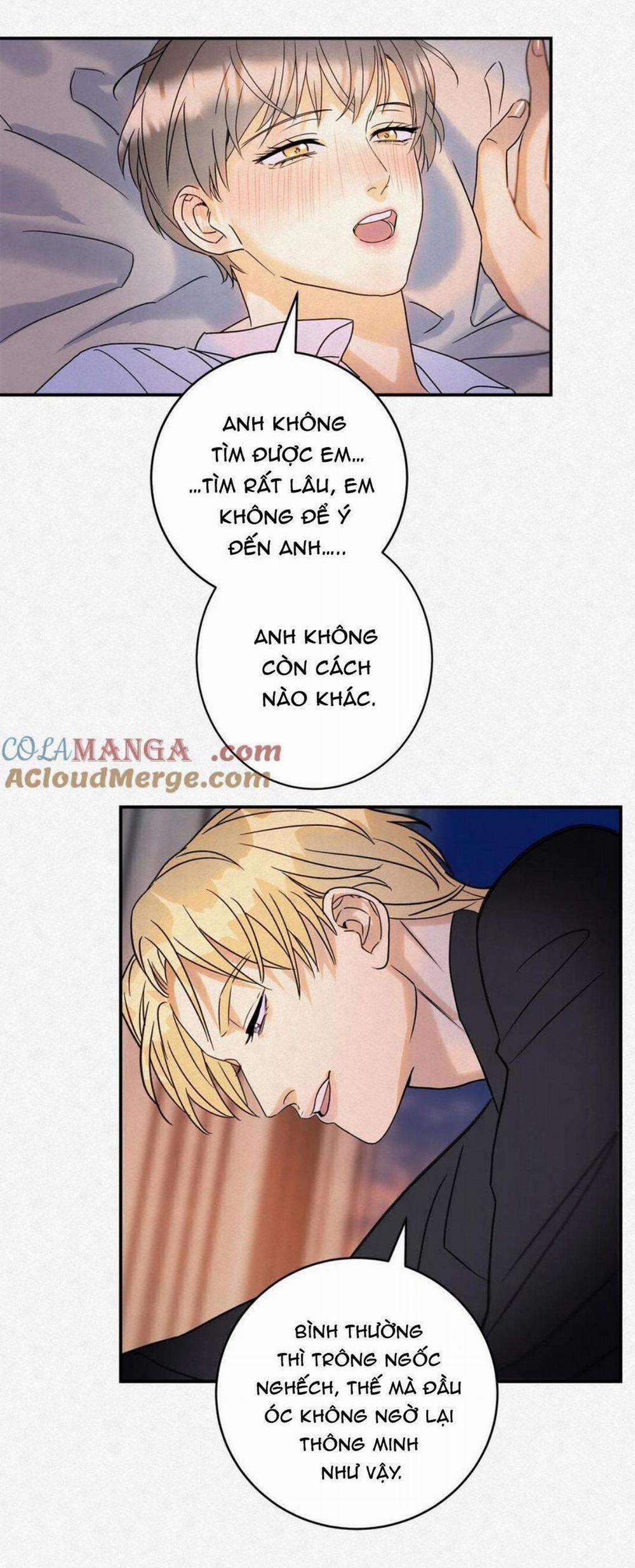 Anh Trai Rẻ Tiền Của Tôi 14 trang 1