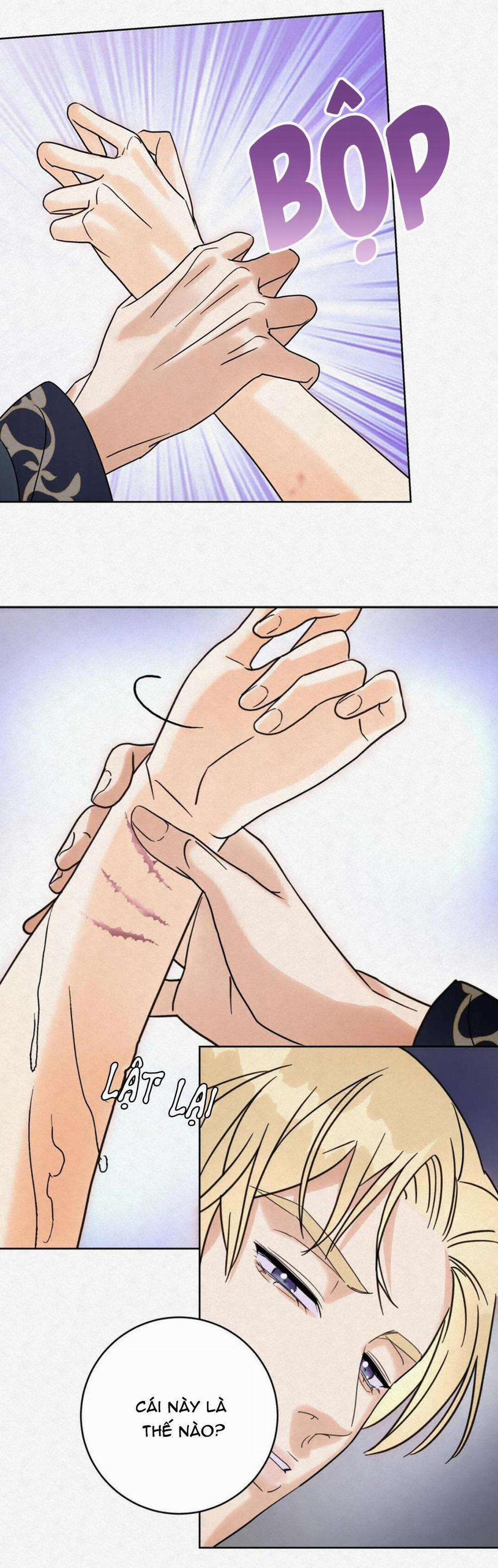 Anh Trai Rẻ Tiền Của Tôi 14 trang 13