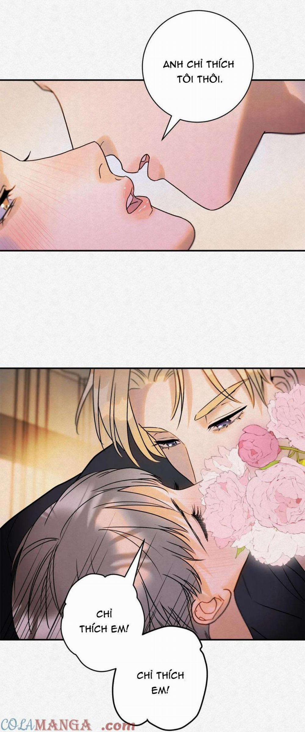 Anh Trai Rẻ Tiền Của Tôi 14 trang 4