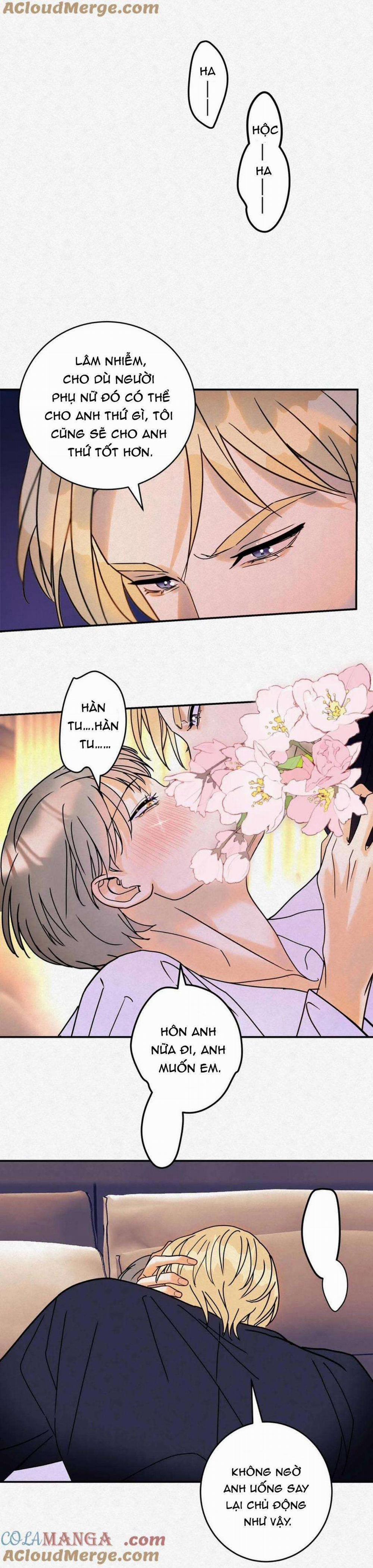 Anh Trai Rẻ Tiền Của Tôi 14 trang 5