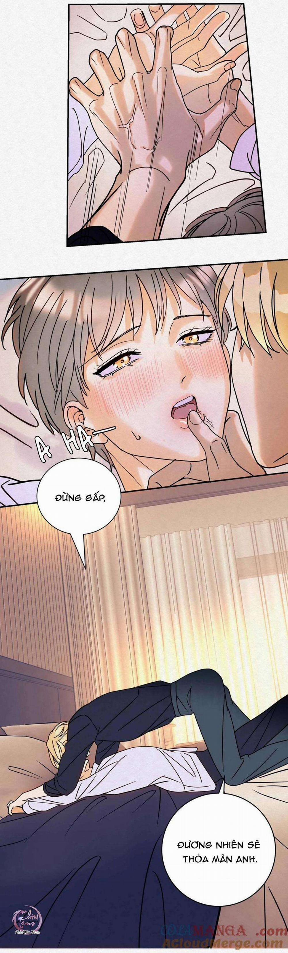 Anh Trai Rẻ Tiền Của Tôi 14 trang 6