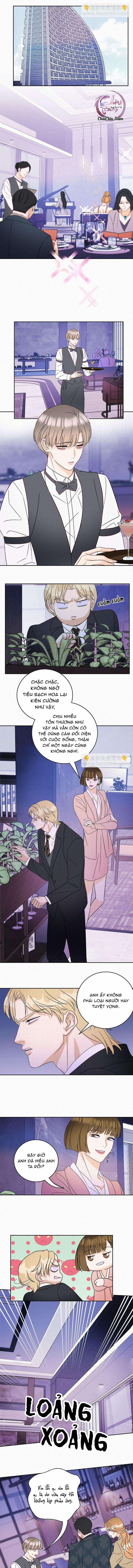 Anh Trai Rẻ Tiền Của Tôi 19 trang 1