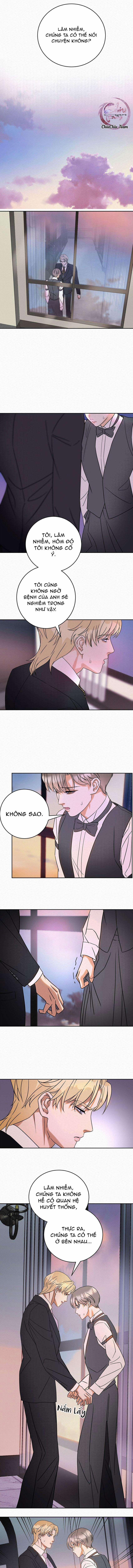 Anh Trai Rẻ Tiền Của Tôi 19 trang 5