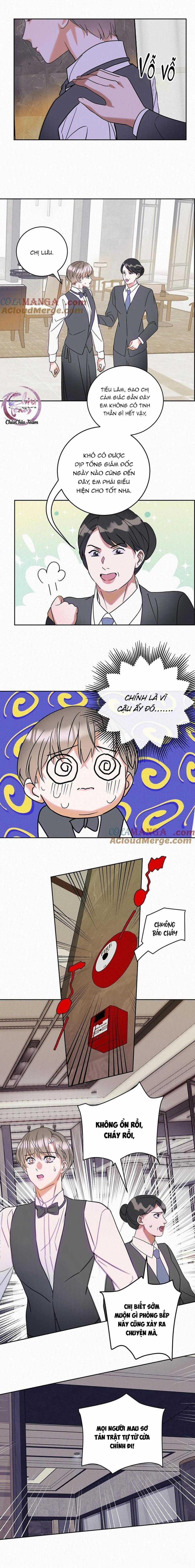 Anh Trai Rẻ Tiền Của Tôi 20 trang 3