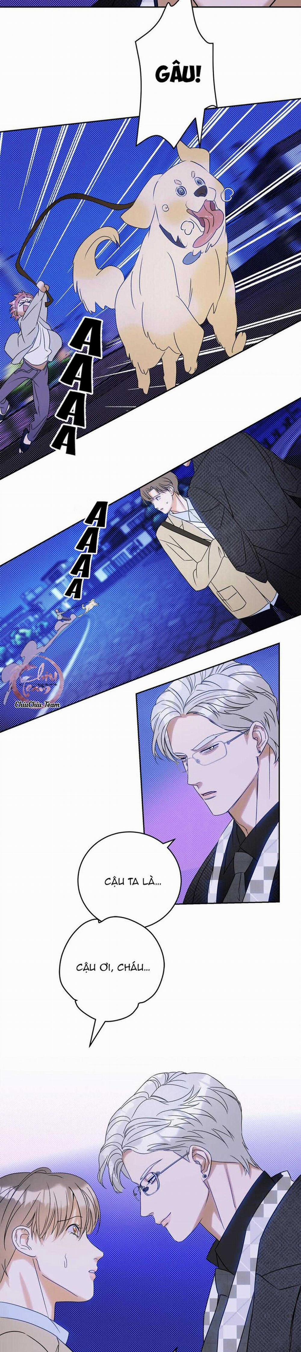 Anh Trai Rẻ Tiền Của Tôi 21 trang 13