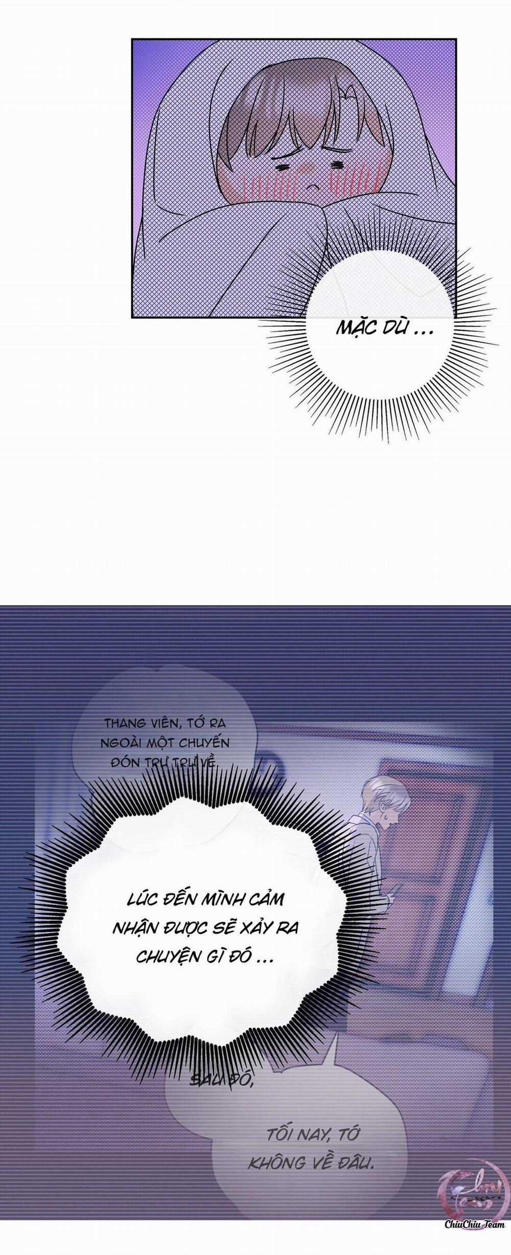 Anh Trai Rẻ Tiền Của Tôi 23 trang 17