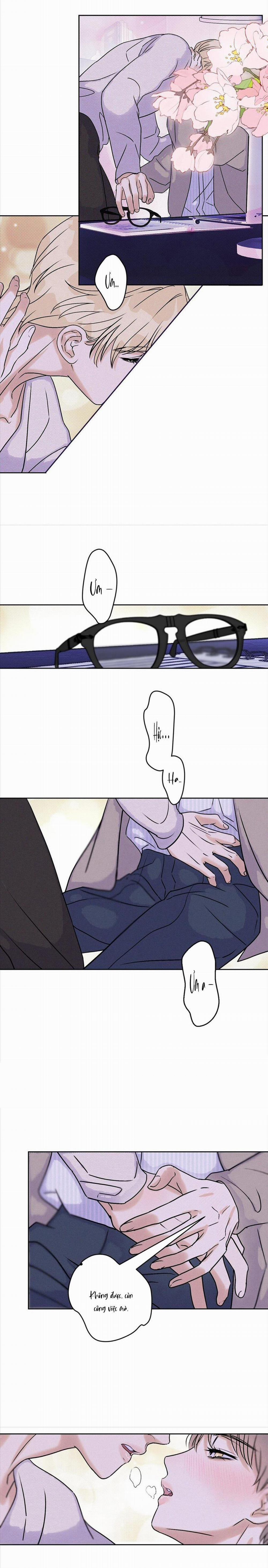 Anh Trai Rẻ Tiền Của Tôi 26 trang 5