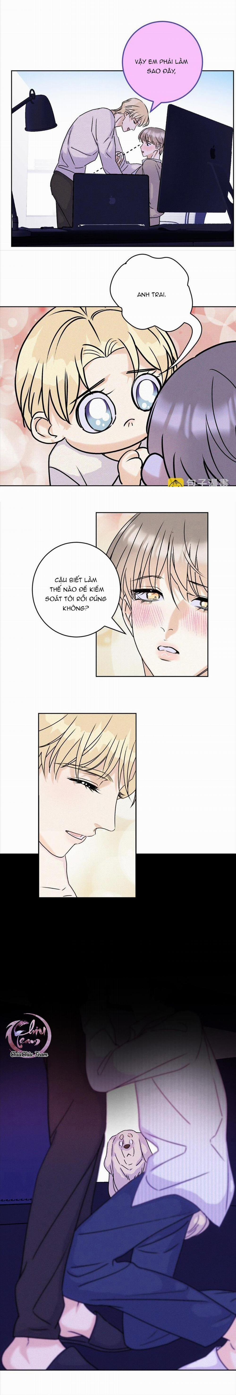 Anh Trai Rẻ Tiền Của Tôi 26 trang 6