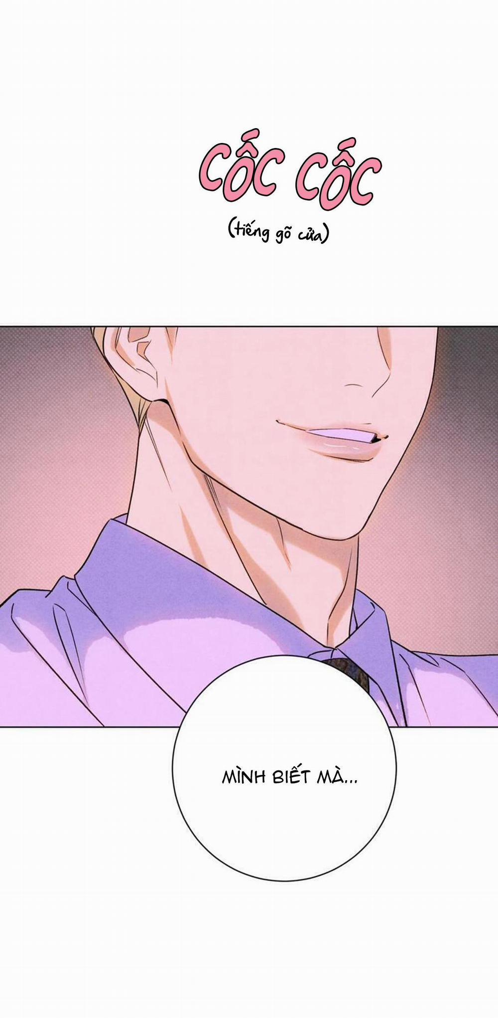 Anh Trai Rẻ Tiền Của Tôi 36 trang 15