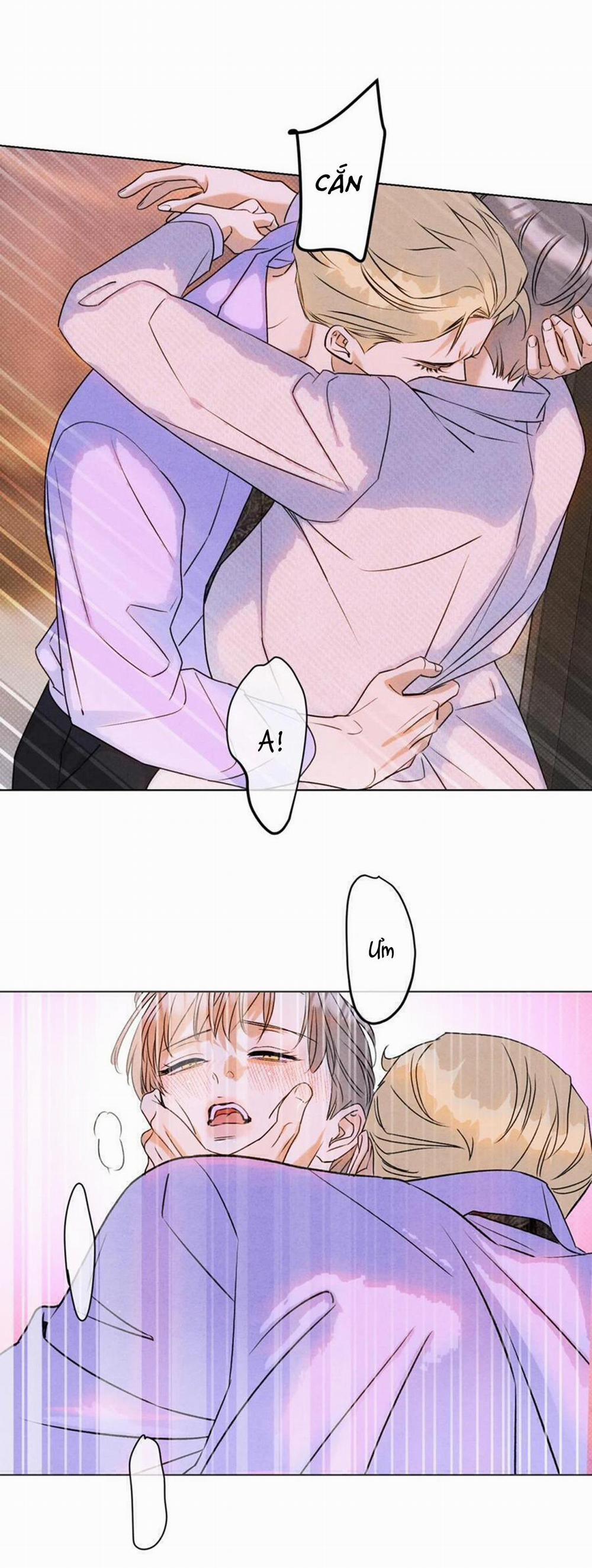 Anh Trai Rẻ Tiền Của Tôi 36 trang 18