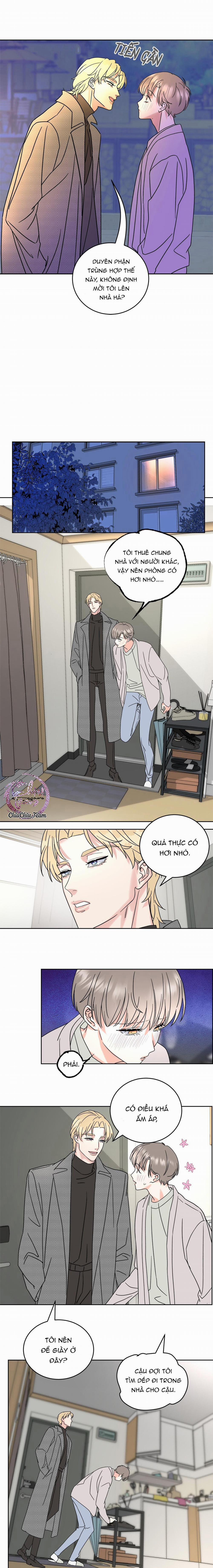 Anh Trai Rẻ Tiền Của Tôi 4 trang 2