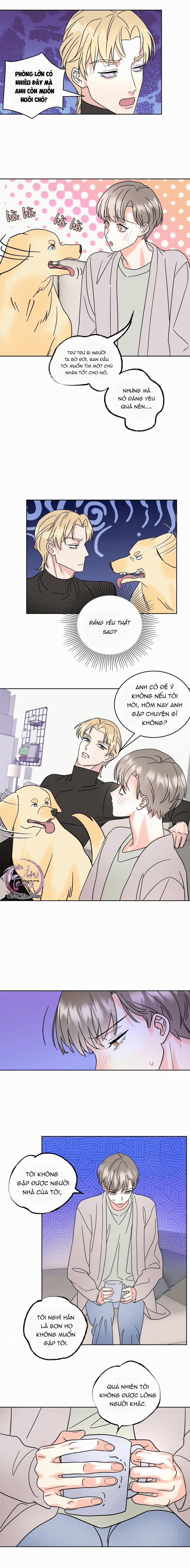 Anh Trai Rẻ Tiền Của Tôi 4 trang 4