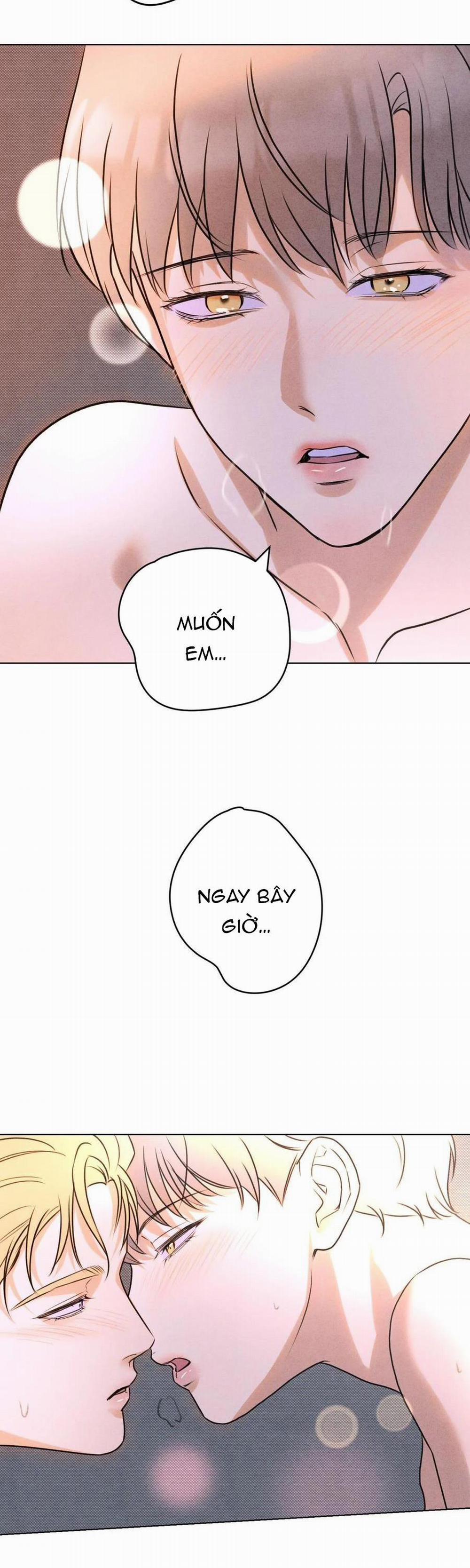 Anh Trai Rẻ Tiền Của Tôi 47 trang 17