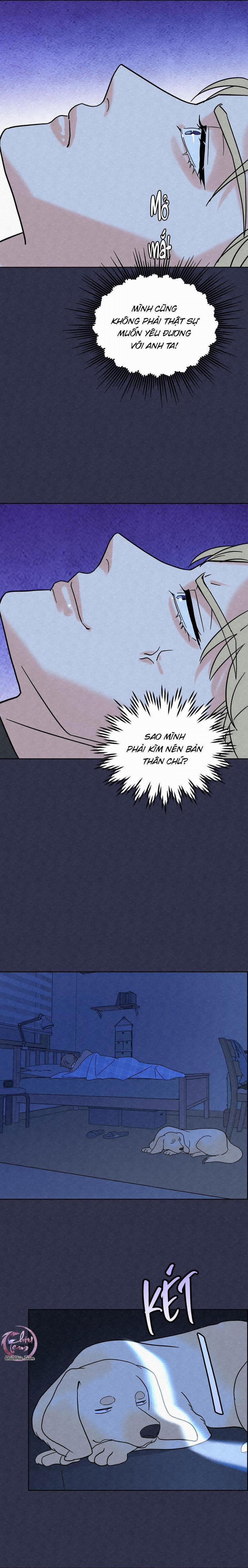 Anh Trai Rẻ Tiền Của Tôi 5 trang 4