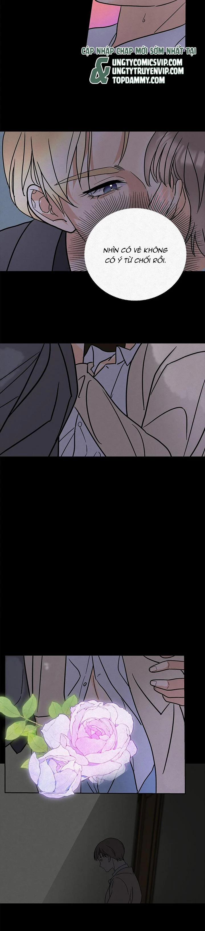 Anh Trai Tiện Lợi Của Tôi 11 trang 11