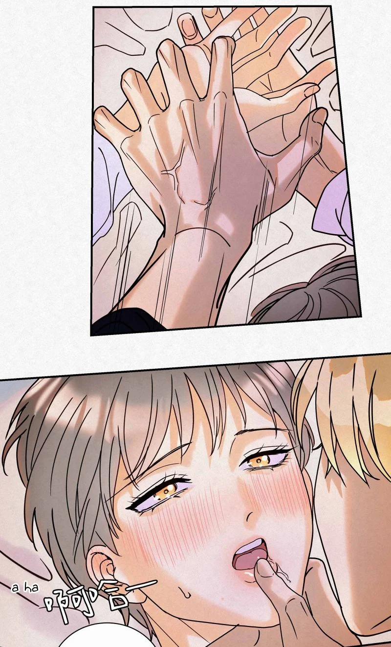 Anh Trai Tiện Lợi Của Tôi 14 trang 13