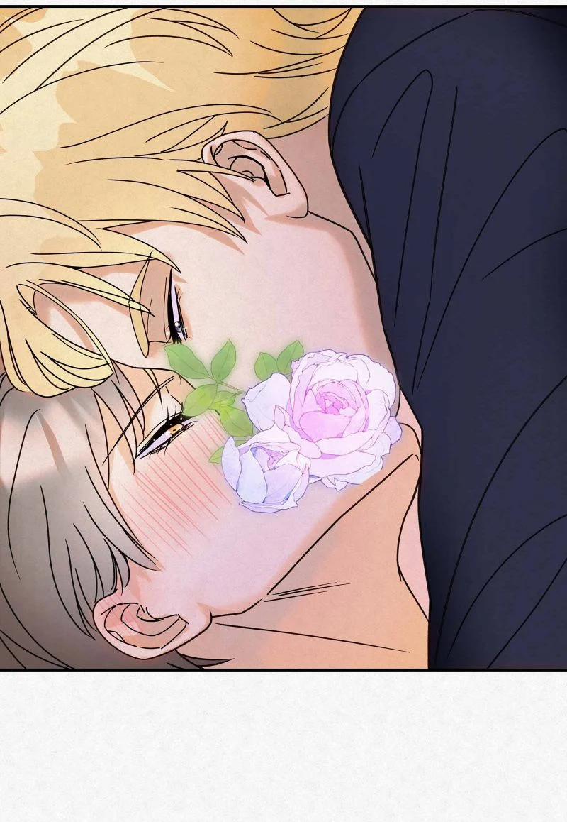 Anh Trai Tiện Lợi Của Tôi 14 trang 15