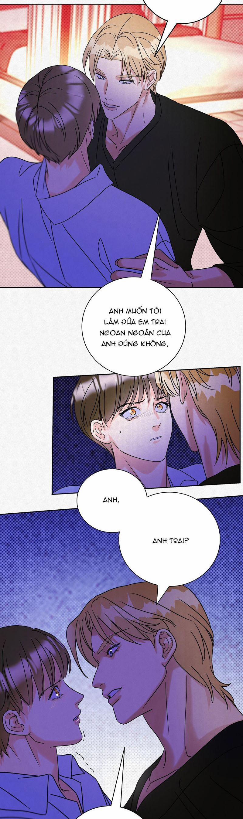 Anh Trai Tiện Lợi Của Tôi 16 trang 17