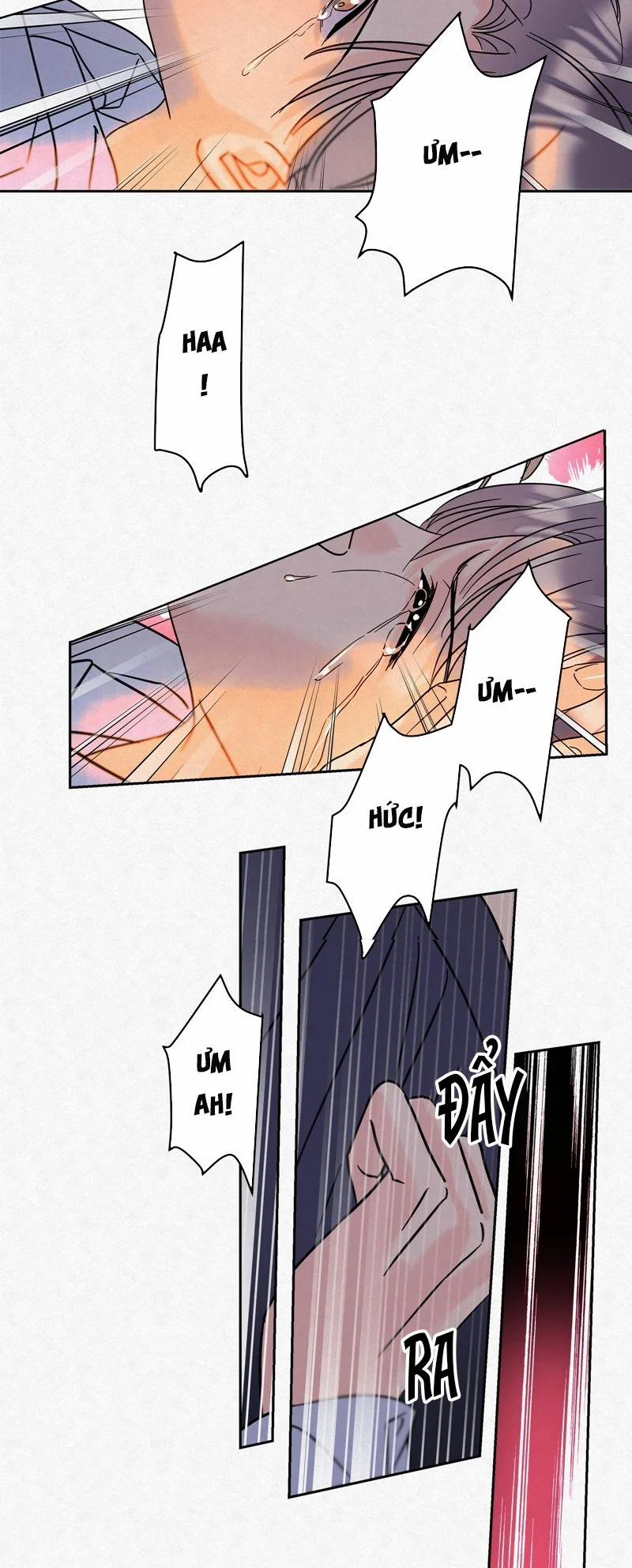 Anh Trai Tiện Lợi Của Tôi 17 trang 18