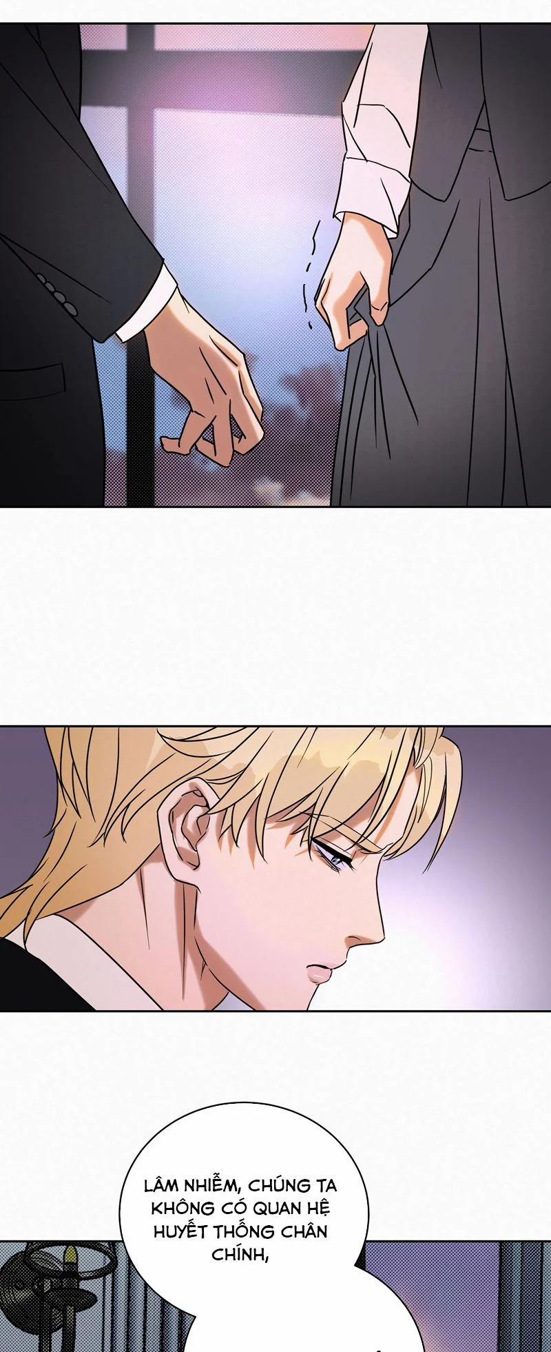 Anh Trai Tiện Lợi Của Tôi 19 trang 20