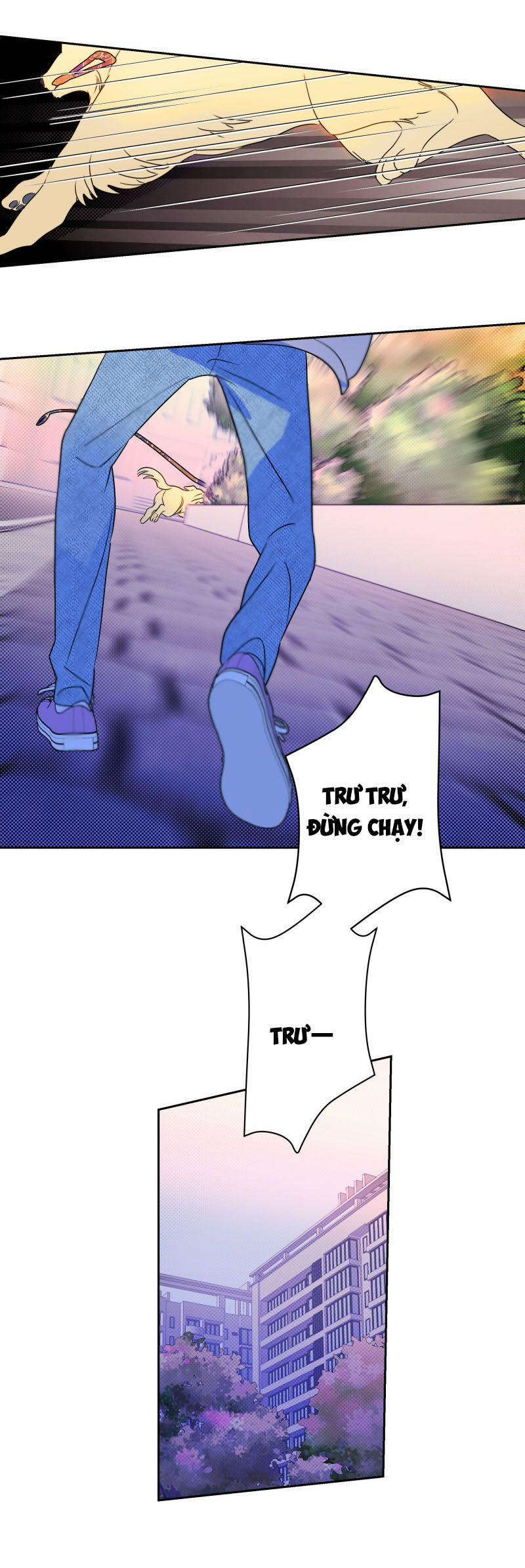 Anh Trai Tiện Lợi Của Tôi 22 trang 12