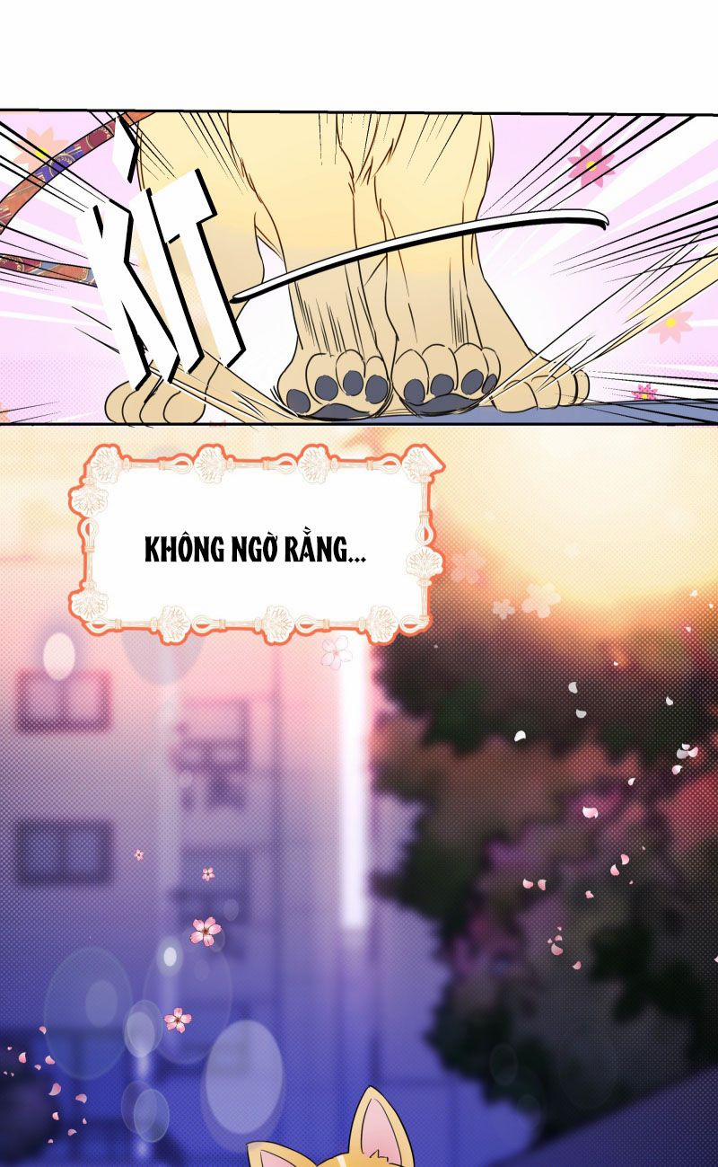 Anh Trai Tiện Lợi Của Tôi 22 trang 13