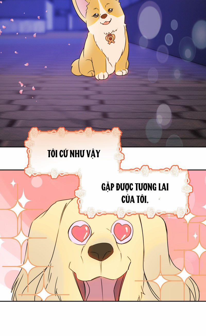 Anh Trai Tiện Lợi Của Tôi 22 trang 14