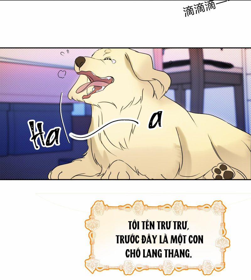 Anh Trai Tiện Lợi Của Tôi 22 trang 3