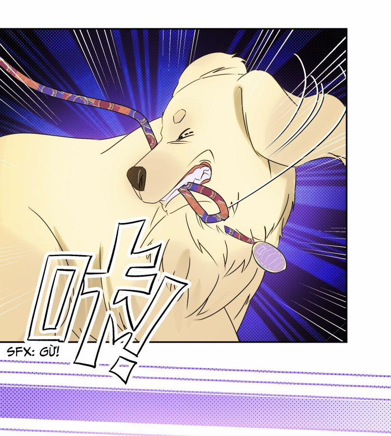 Anh Trai Tiện Lợi Của Tôi 22 trang 9