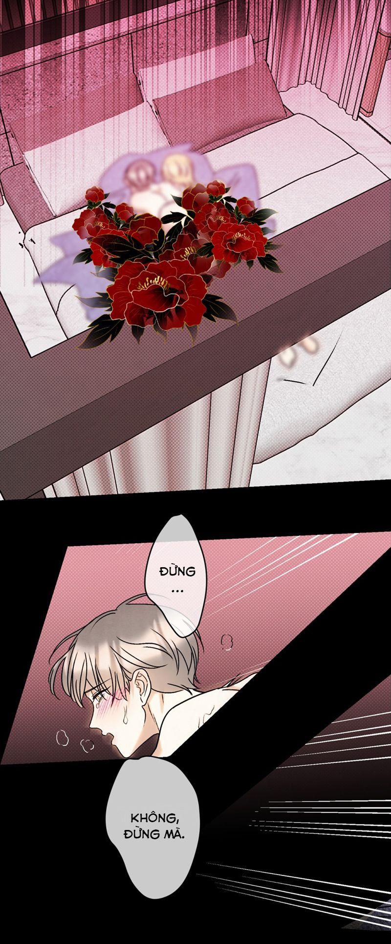 Anh Trai Tiện Lợi Của Tôi 24 trang 24