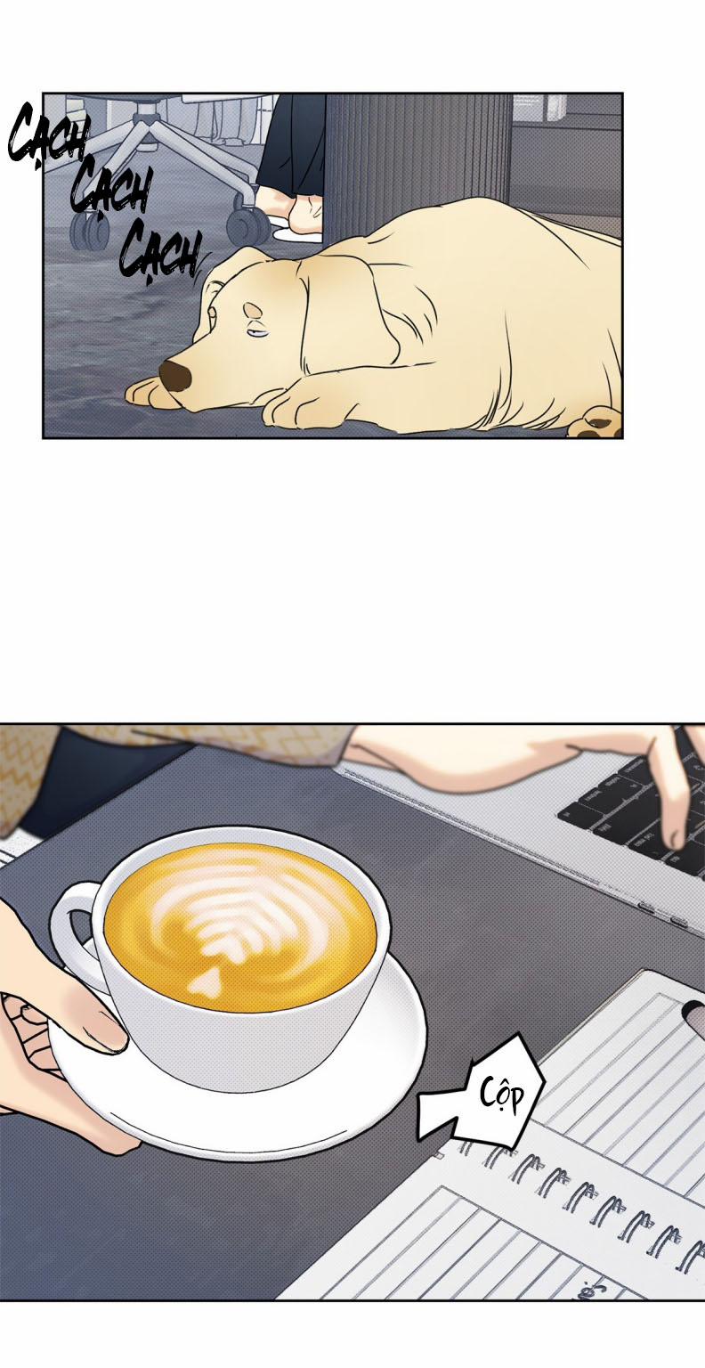 Anh Trai Tiện Lợi Của Tôi 25 trang 3