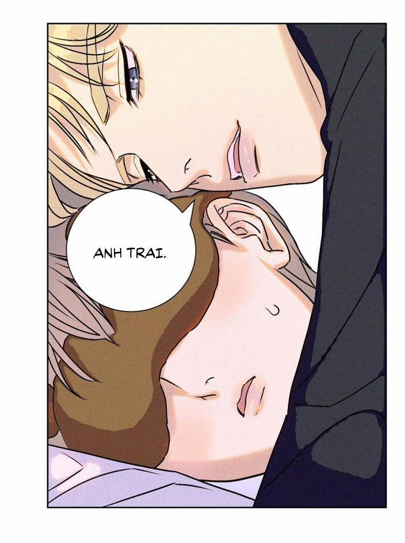 Anh Trai Tiện Lợi Của Tôi 27 trang 26