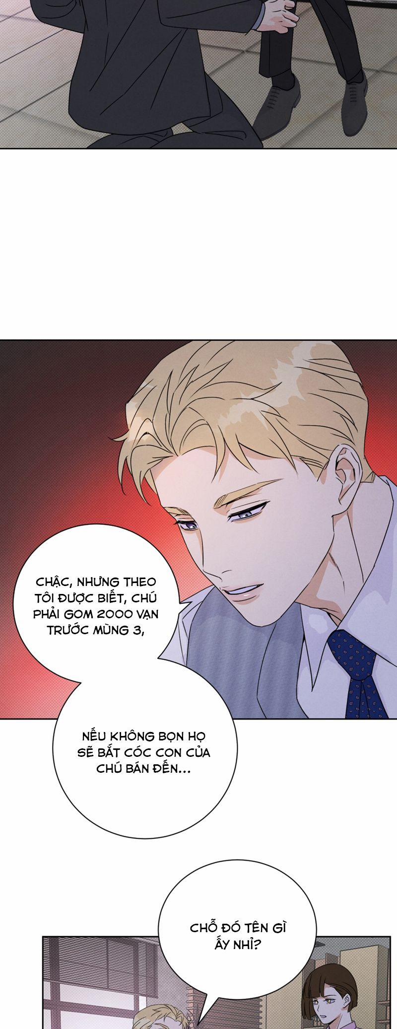 Anh Trai Tiện Lợi Của Tôi 34 trang 12