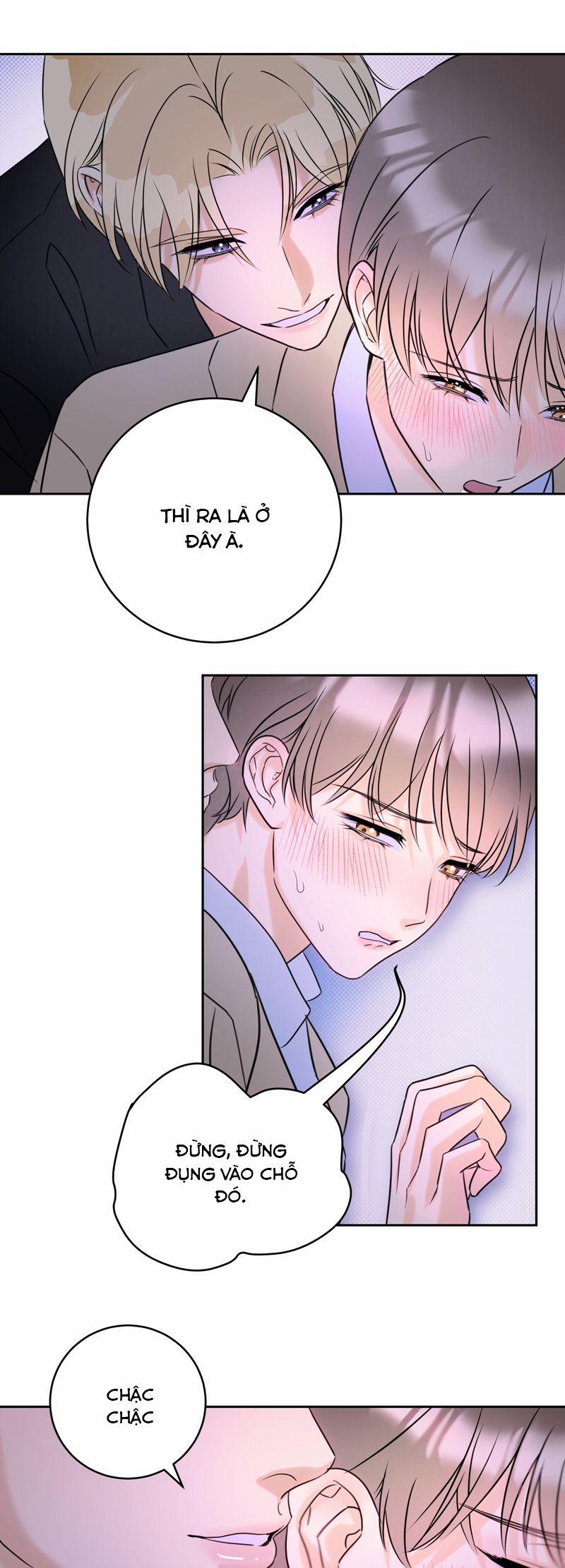 Anh Trai Tiện Lợi Của Tôi 40 trang 8