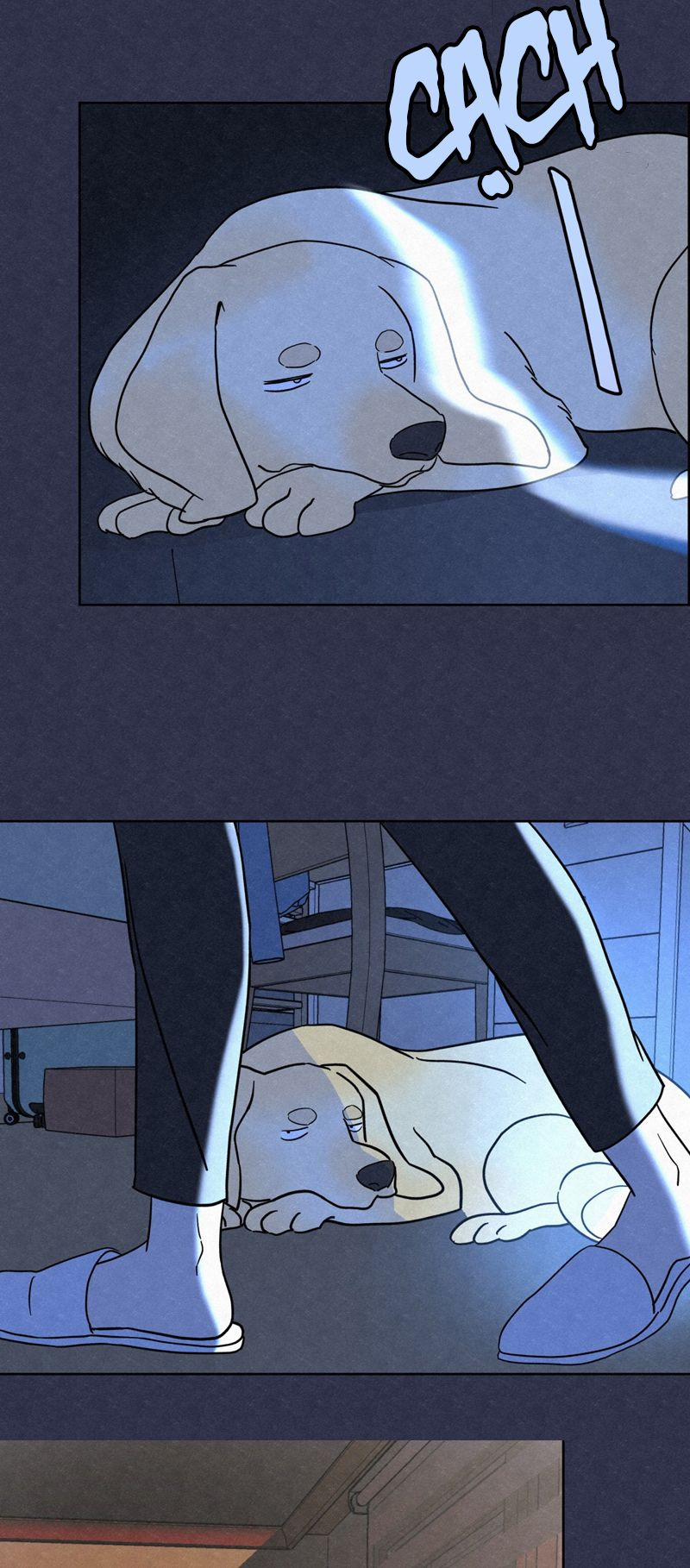 Anh Trai Tiện Lợi Của Tôi 5 trang 14