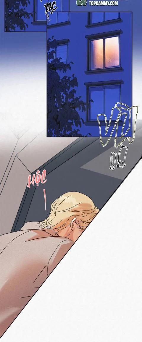 Anh Trai Tiện Lợi Của Tôi 9 trang 2