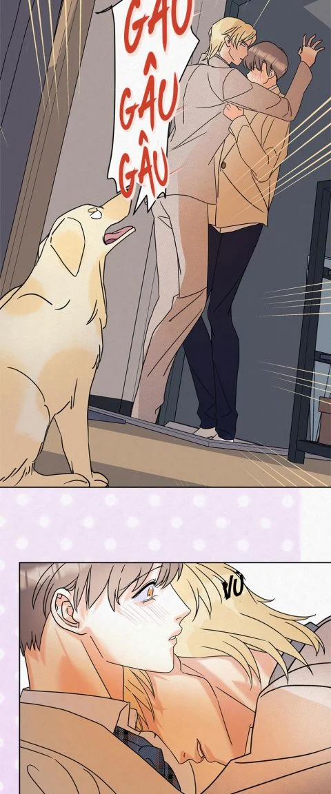 Anh Trai Tiện Lợi Của Tôi 9 trang 6