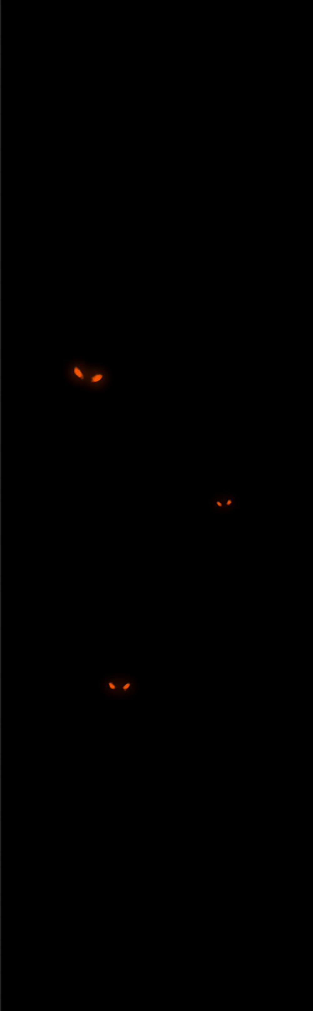 Anh Trai Tôi Là Hổ 15 trang 34