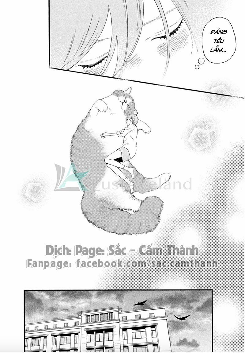 Ánh Trăng Đêm Tối Yêu Kiều 4 trang 27