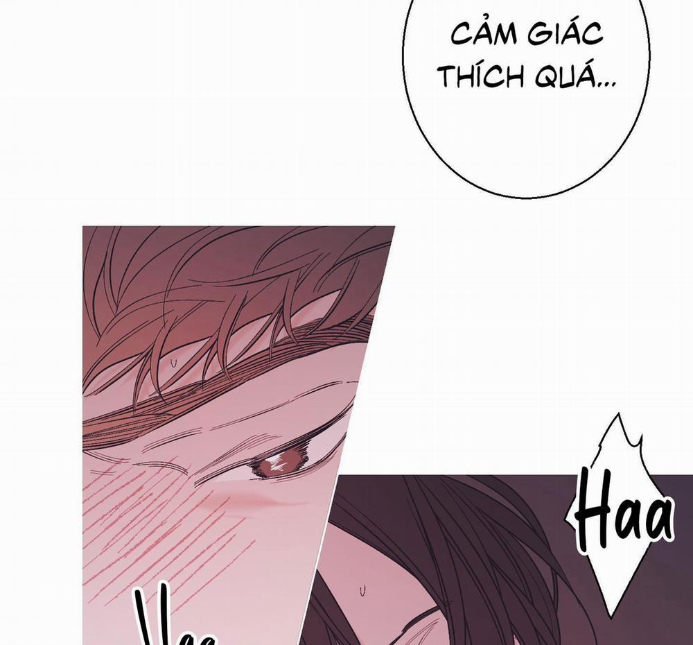 Anh Và Anh 15 trang 44