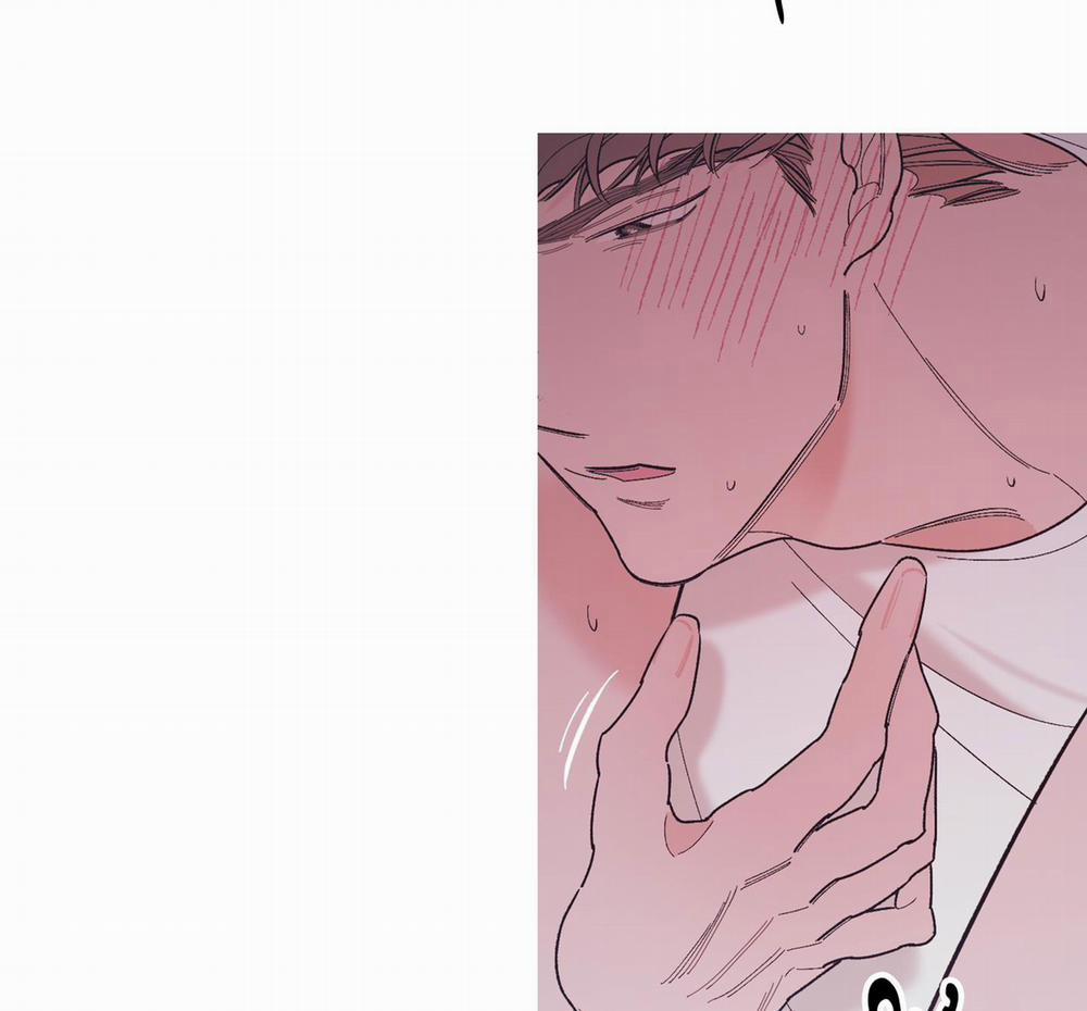 Anh Và Anh 15 trang 46