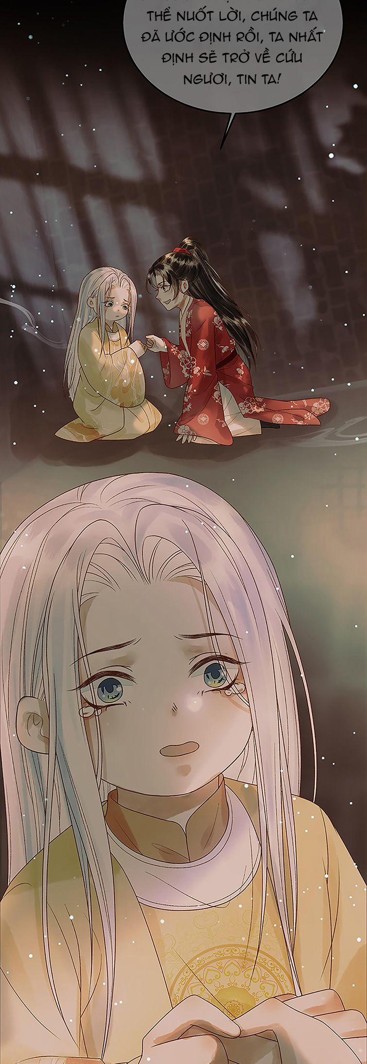 Ảnh Vệ 45 trang 19