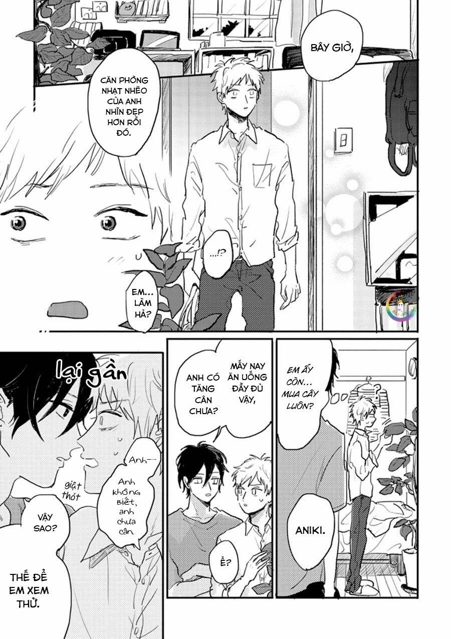 Aniki wo Aegasu Houhou (END) 3 trang 17