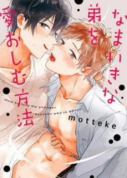 Đọc truyện tranh Aniki wo Aegasu Houhou (END)