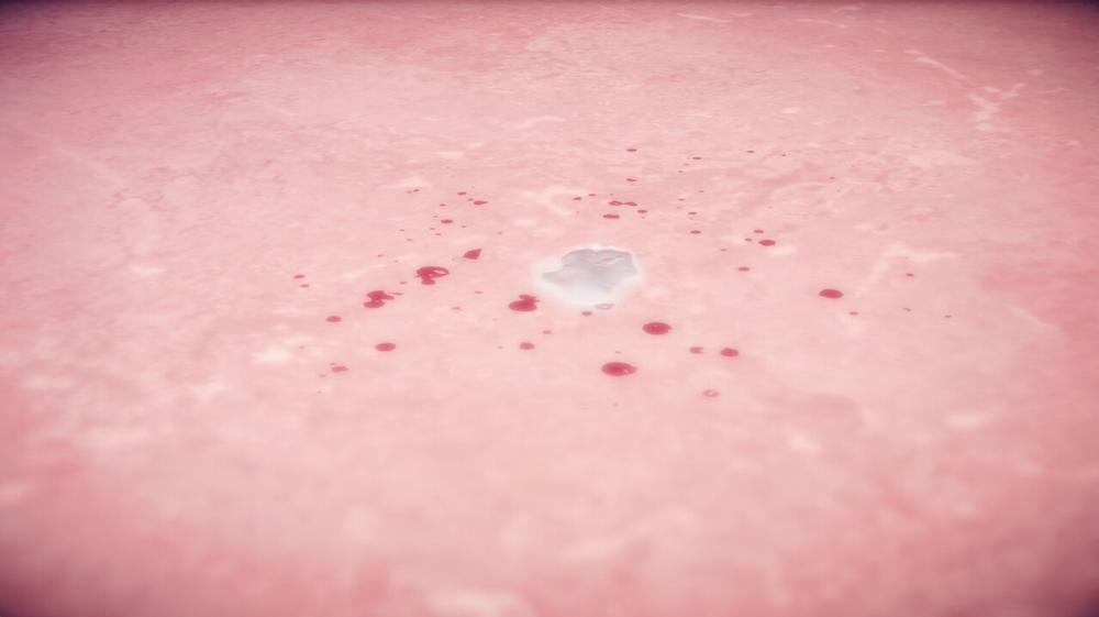 Ann and Joe Full 2 0 220 trang 0 trang 24